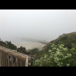 Meet your Posher, Blake